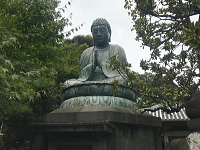 Join a Volunteer Guided Tour in Yanaka Area